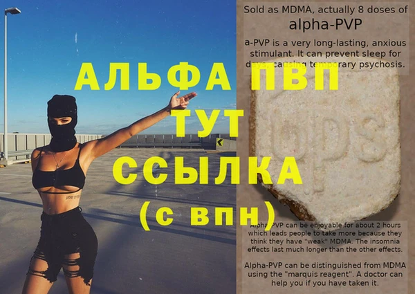 прущие грибы Семилуки