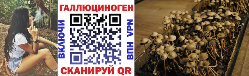 Галлюциногенные грибы мухоморы  Струнино 